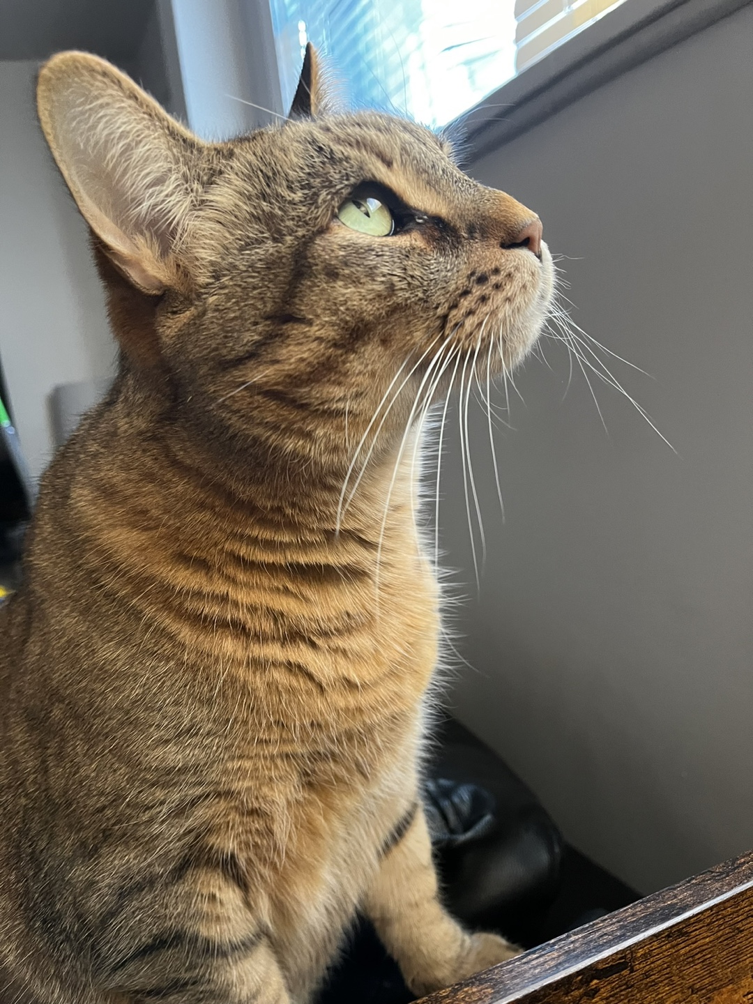 Eric profile