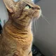 Eric profile