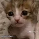 Bob profile