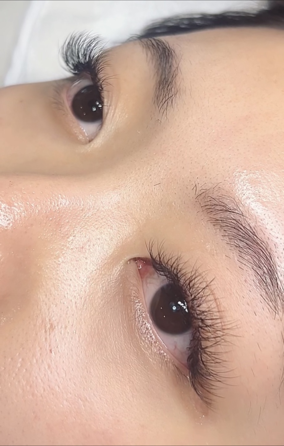 LashDolosh