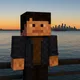 Nathan profile
