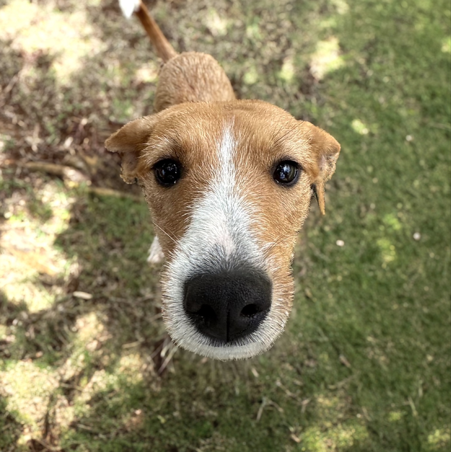 Owen profile