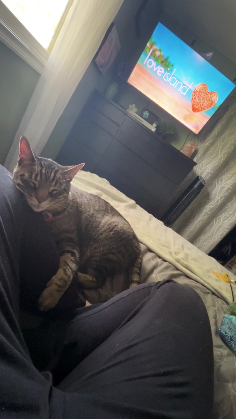 CatMom profile