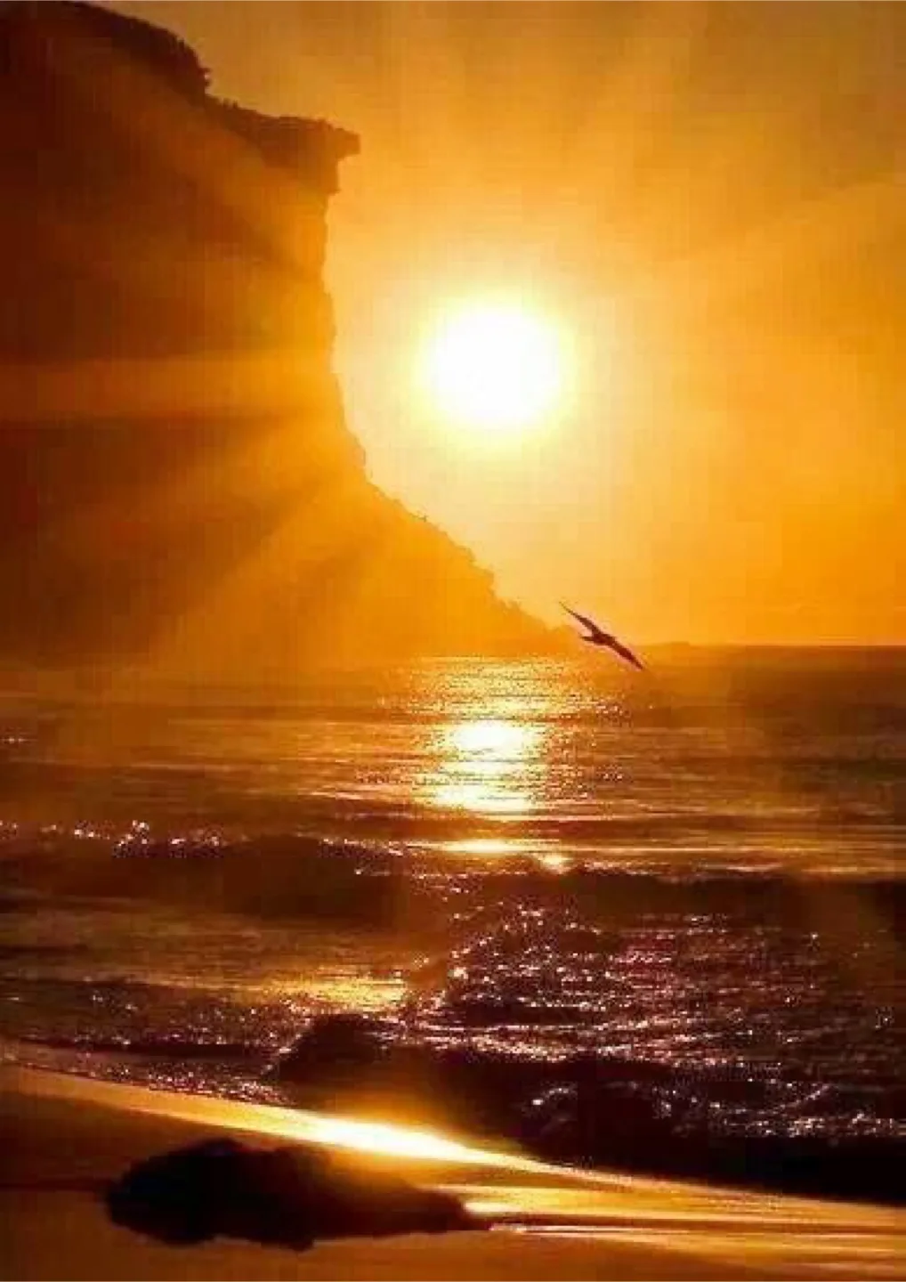 Matthew Reyes profile