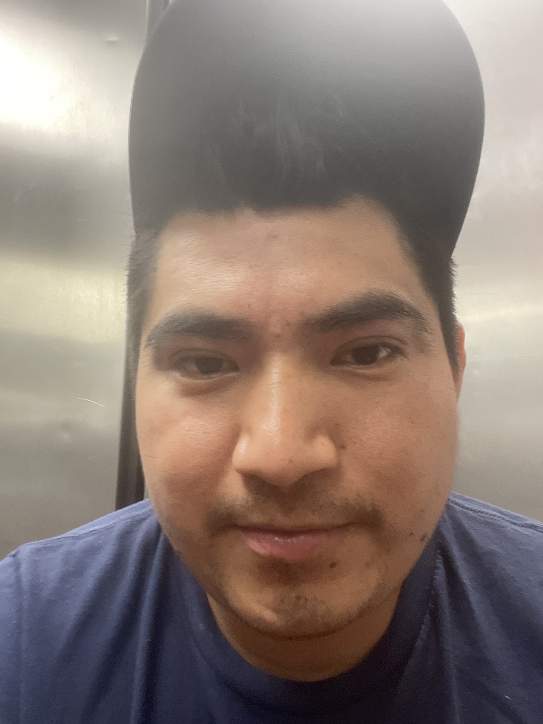 Rafael profile