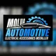 Auto electrician profile