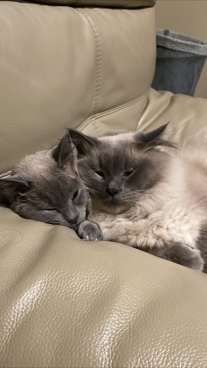 buy and sell profile