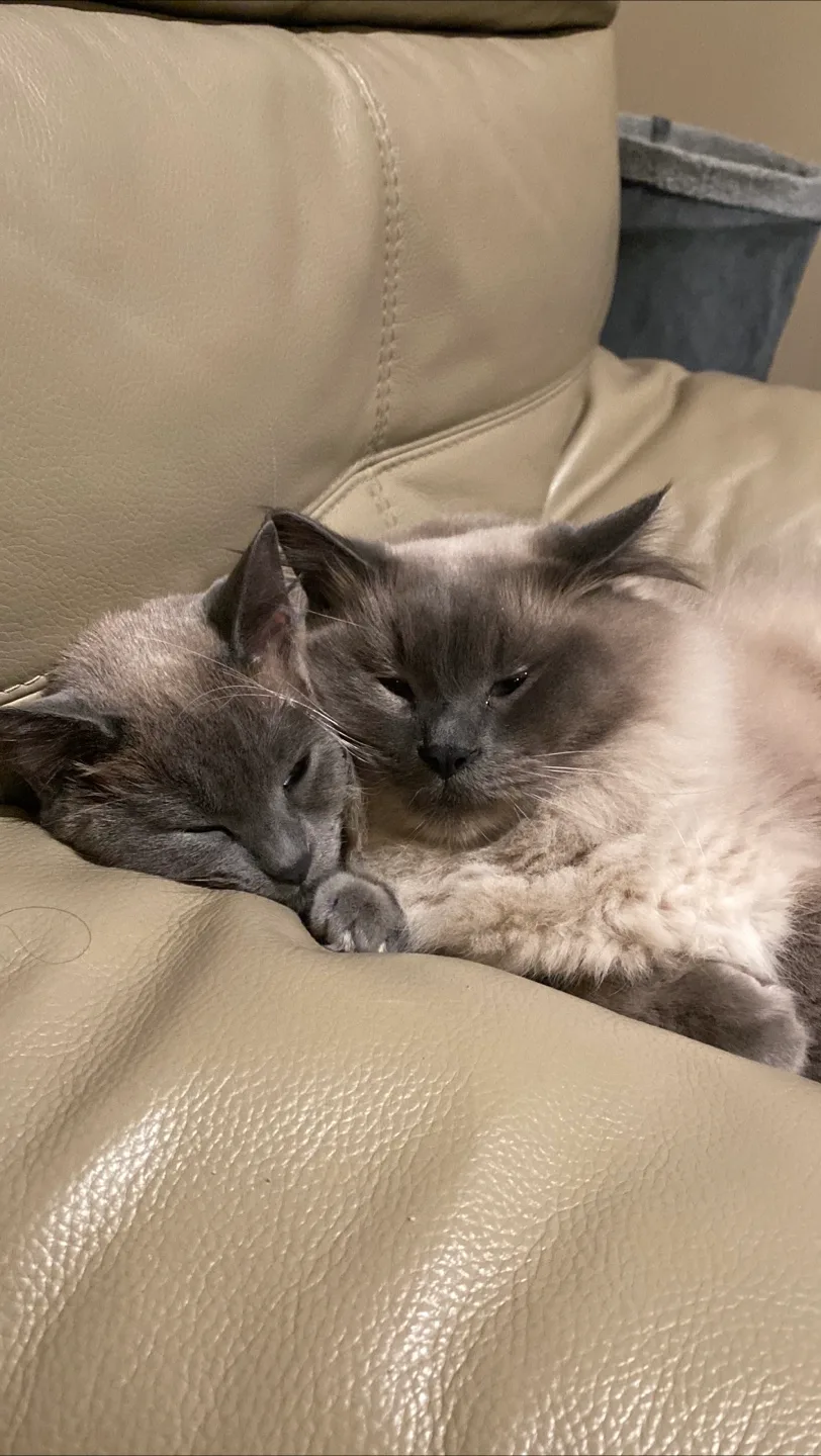 buy and sell profile