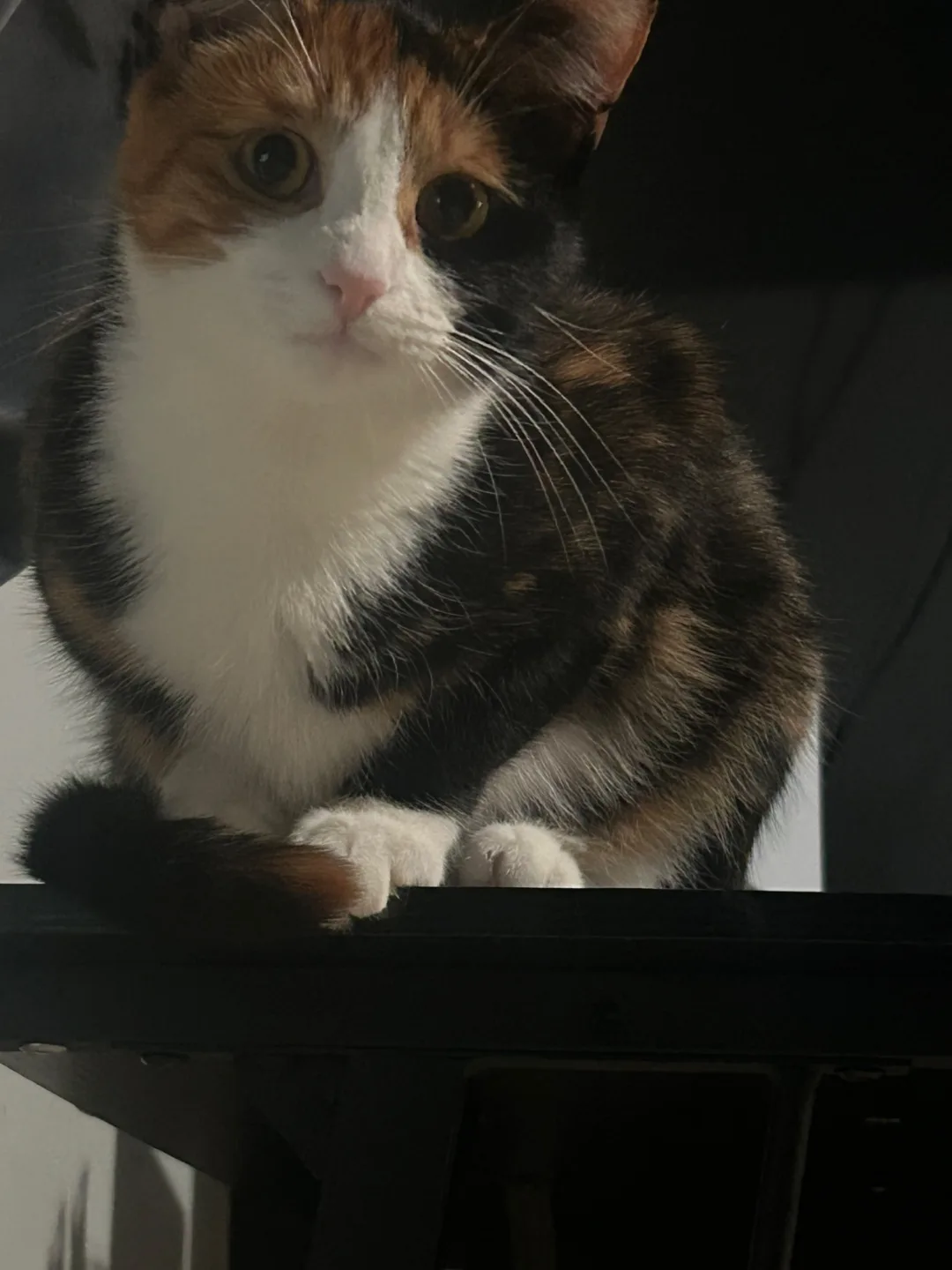 Erick Acevedo profile