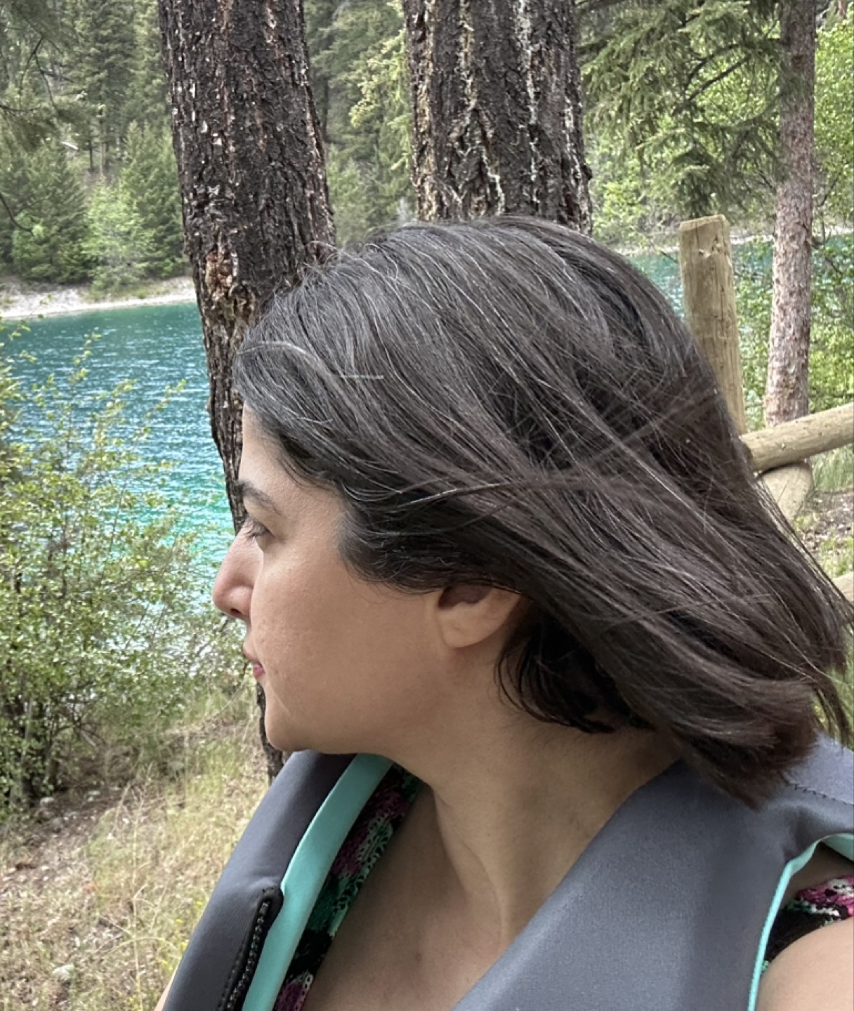 Sam profile