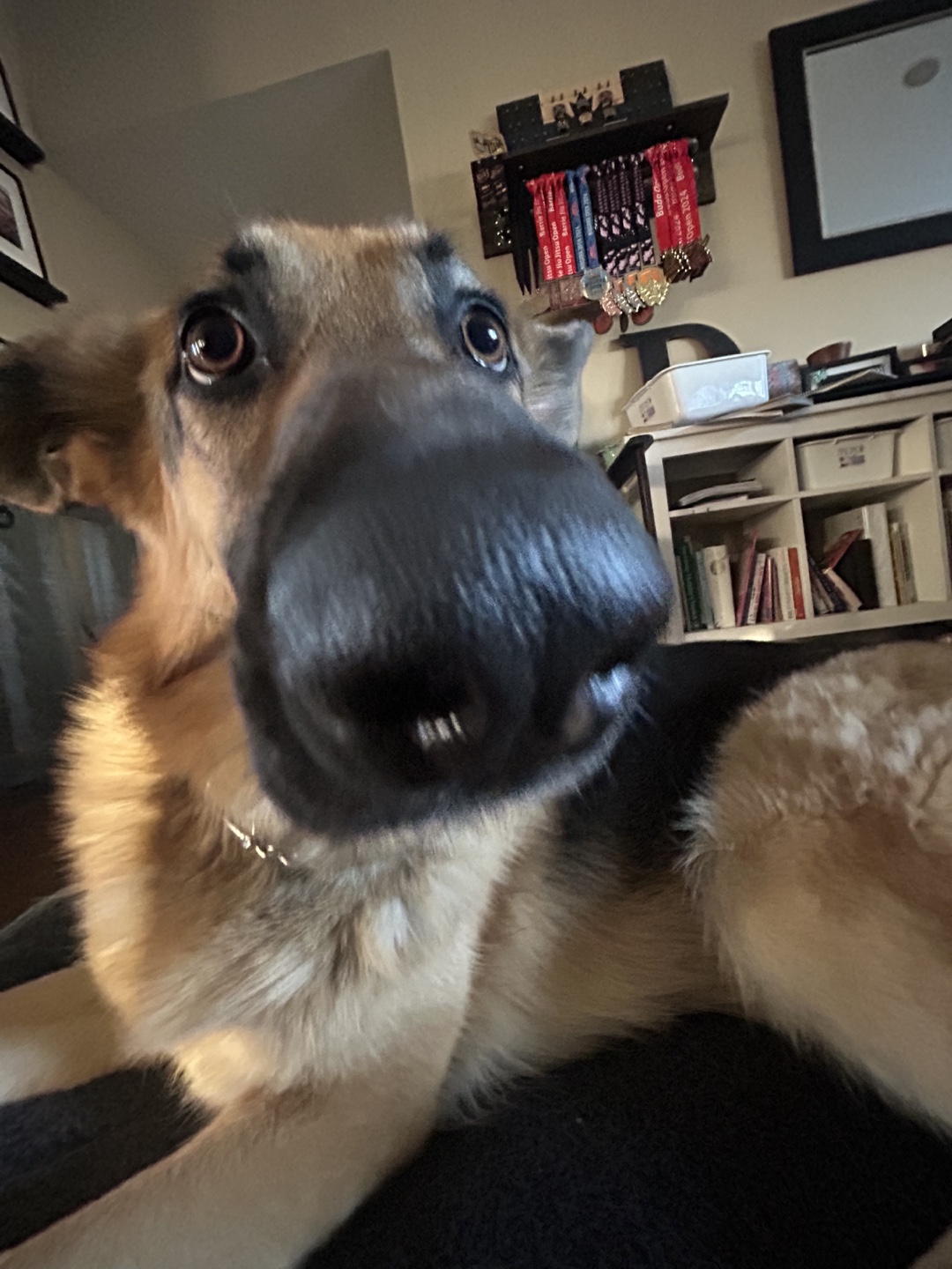 Craig D profile