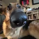 Craig D profile