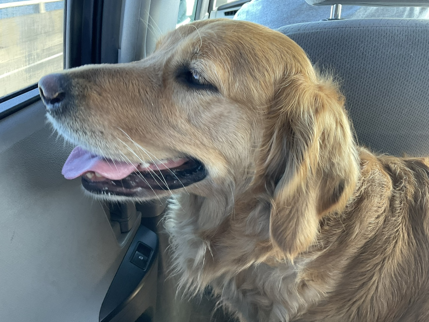 Oliver lol profile