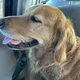 Oliver lol profile