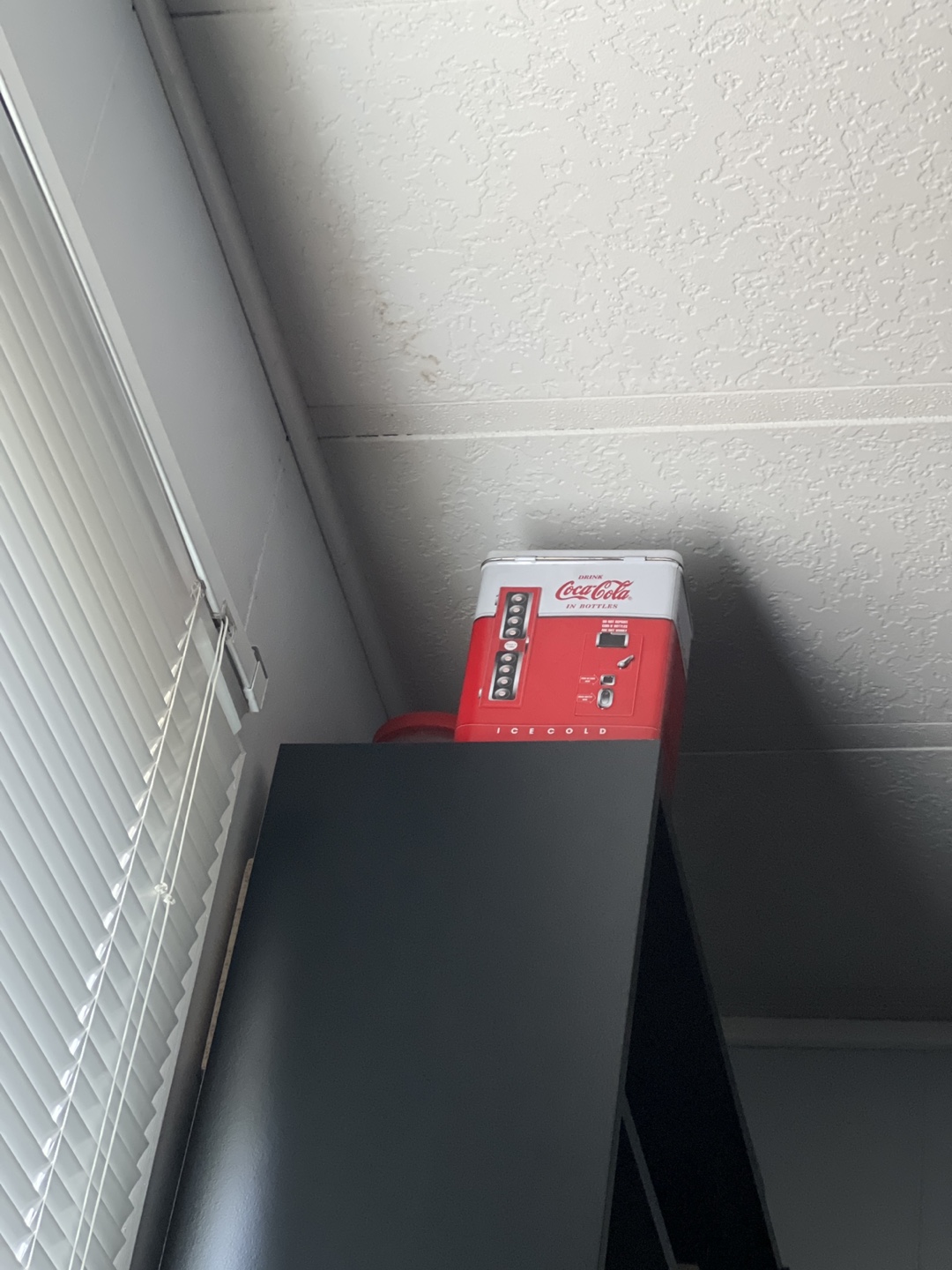 Brylee banks profile