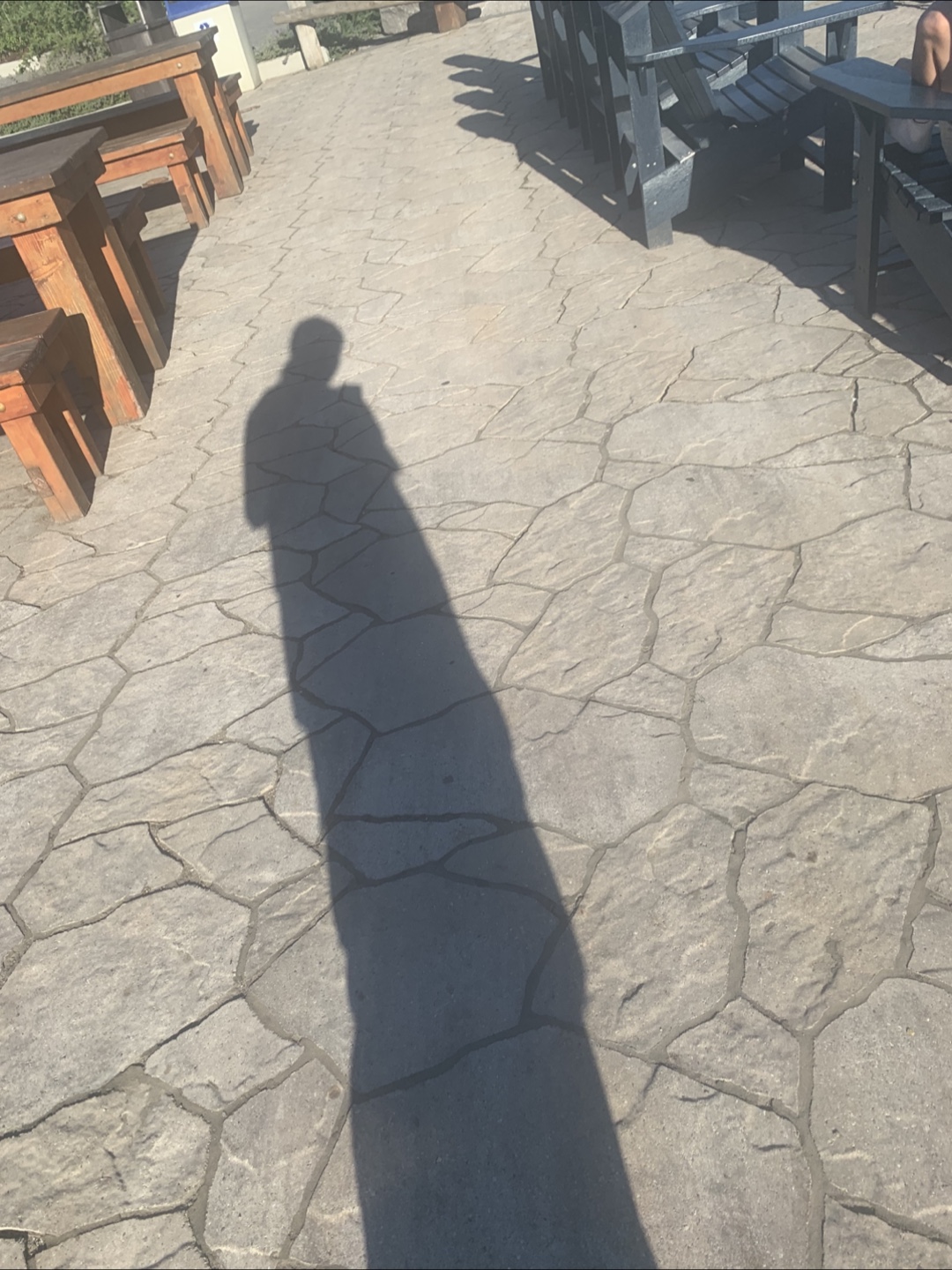 Ally profile