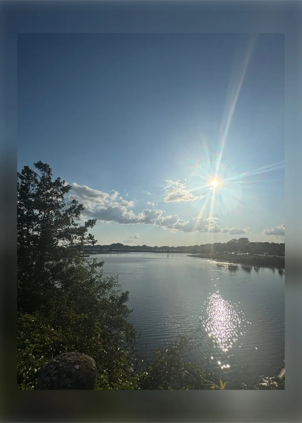 Shane and Tammy profile