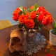 Dafs profile
