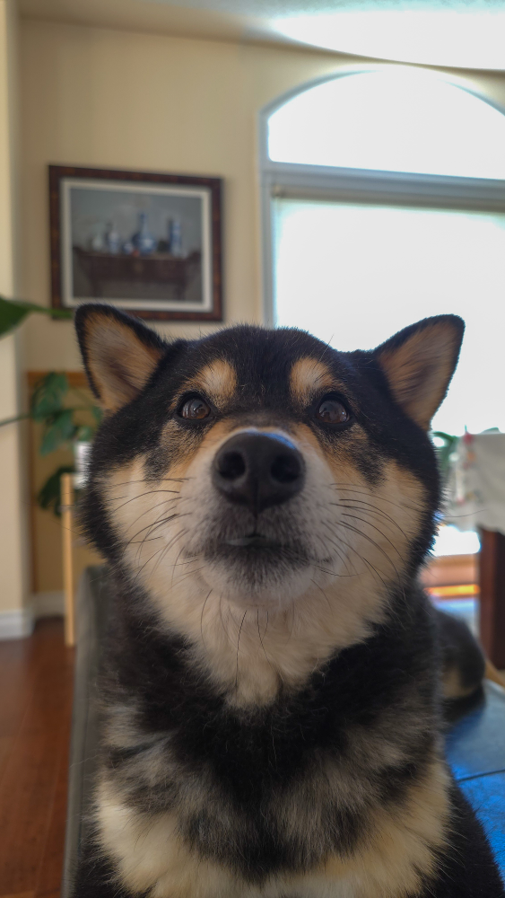 micho profile