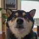 micho profile