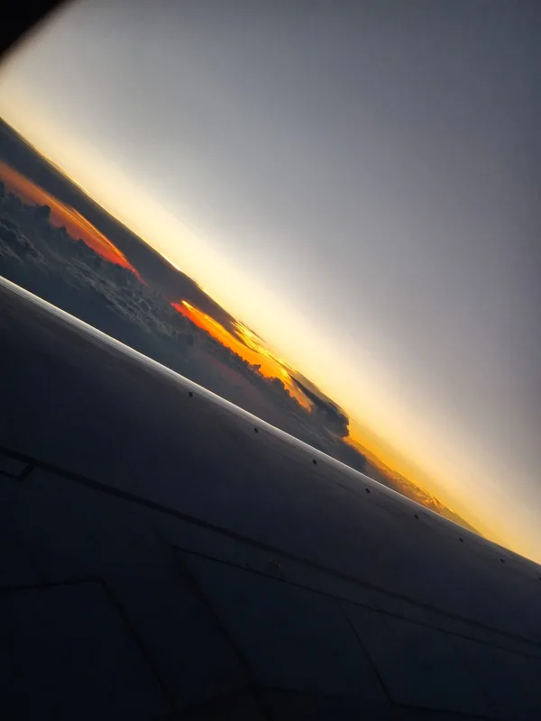 Mishka Mehta profile