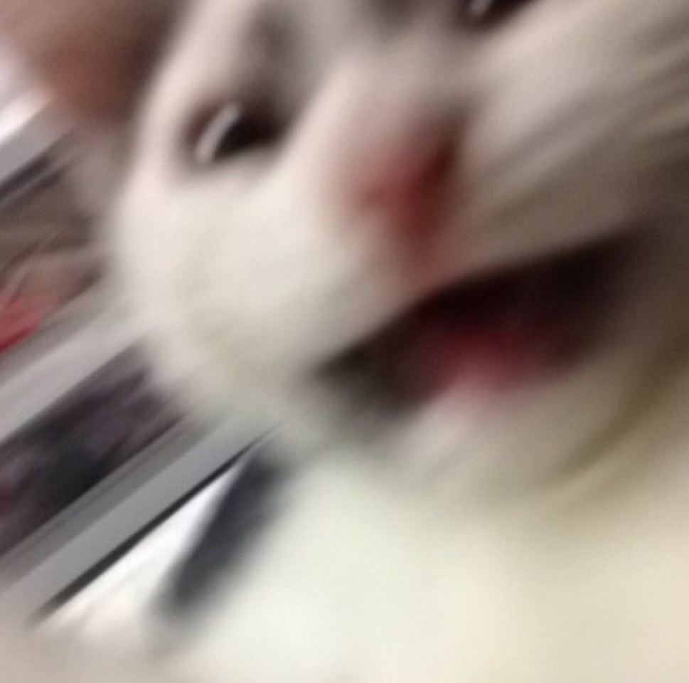 Cassandra