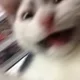 Cassandra profile