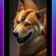 Dan profile