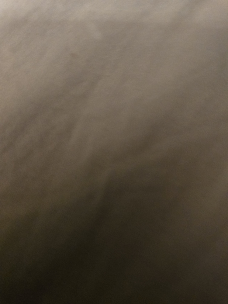 Sue profile
