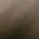 Sue profile