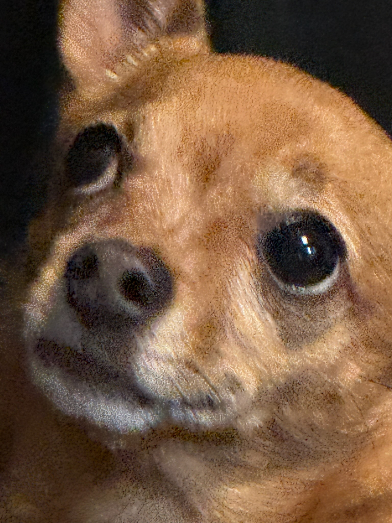 coco profile