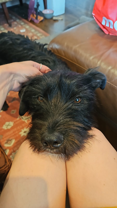 LikeNew profile