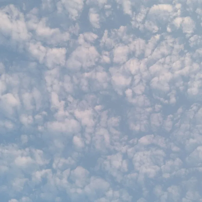 Ahmad Sardar profile