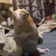 Marty Moots profile