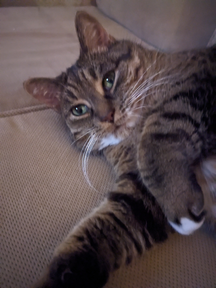 Susan Babcock profile