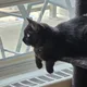 Nick profile