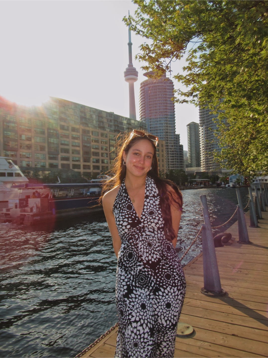 Ines profile