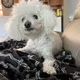 Sue profile