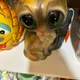 Mac profile