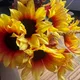 Jk profile