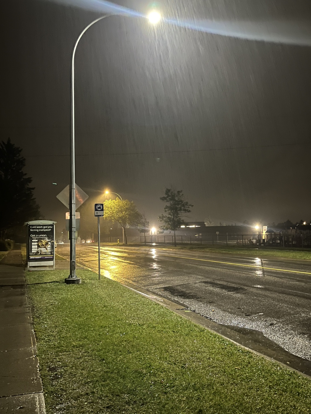 William Mathew profile