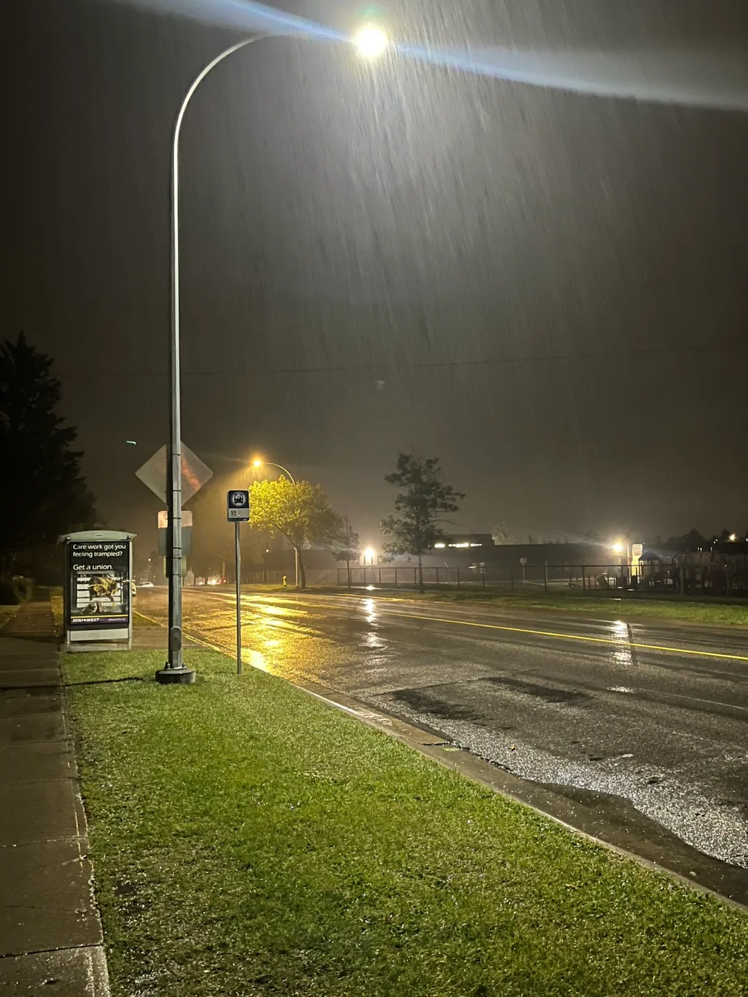 William Mathew profile