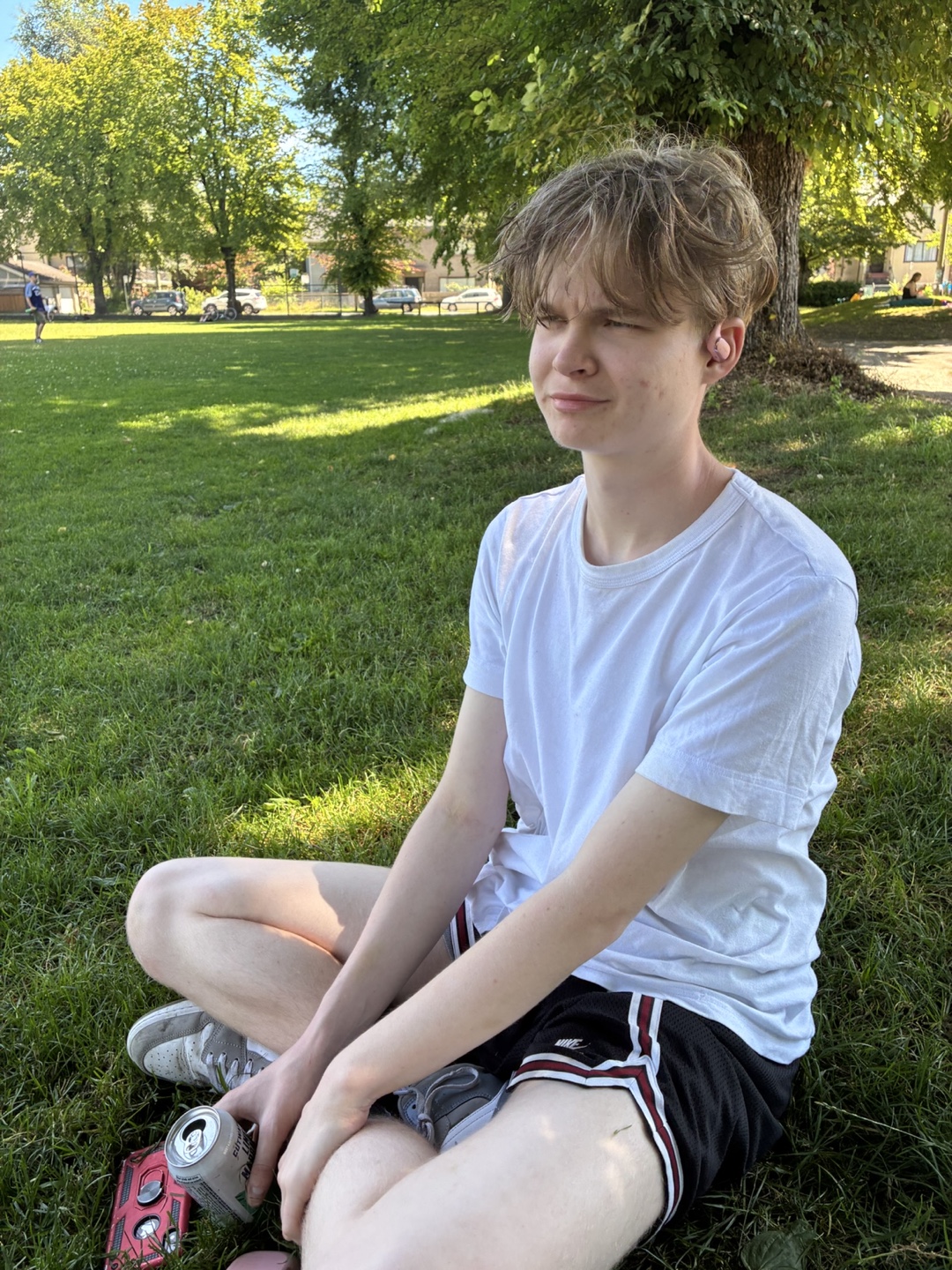 Stefan profile
