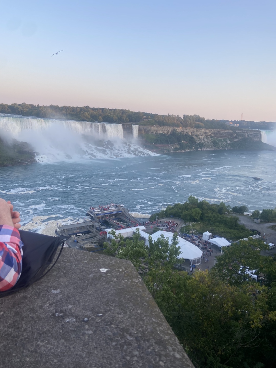 Lauren Resse profile