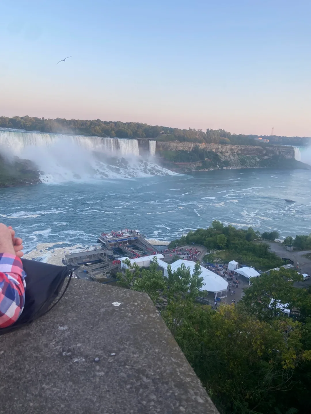 Lauren Resse profile