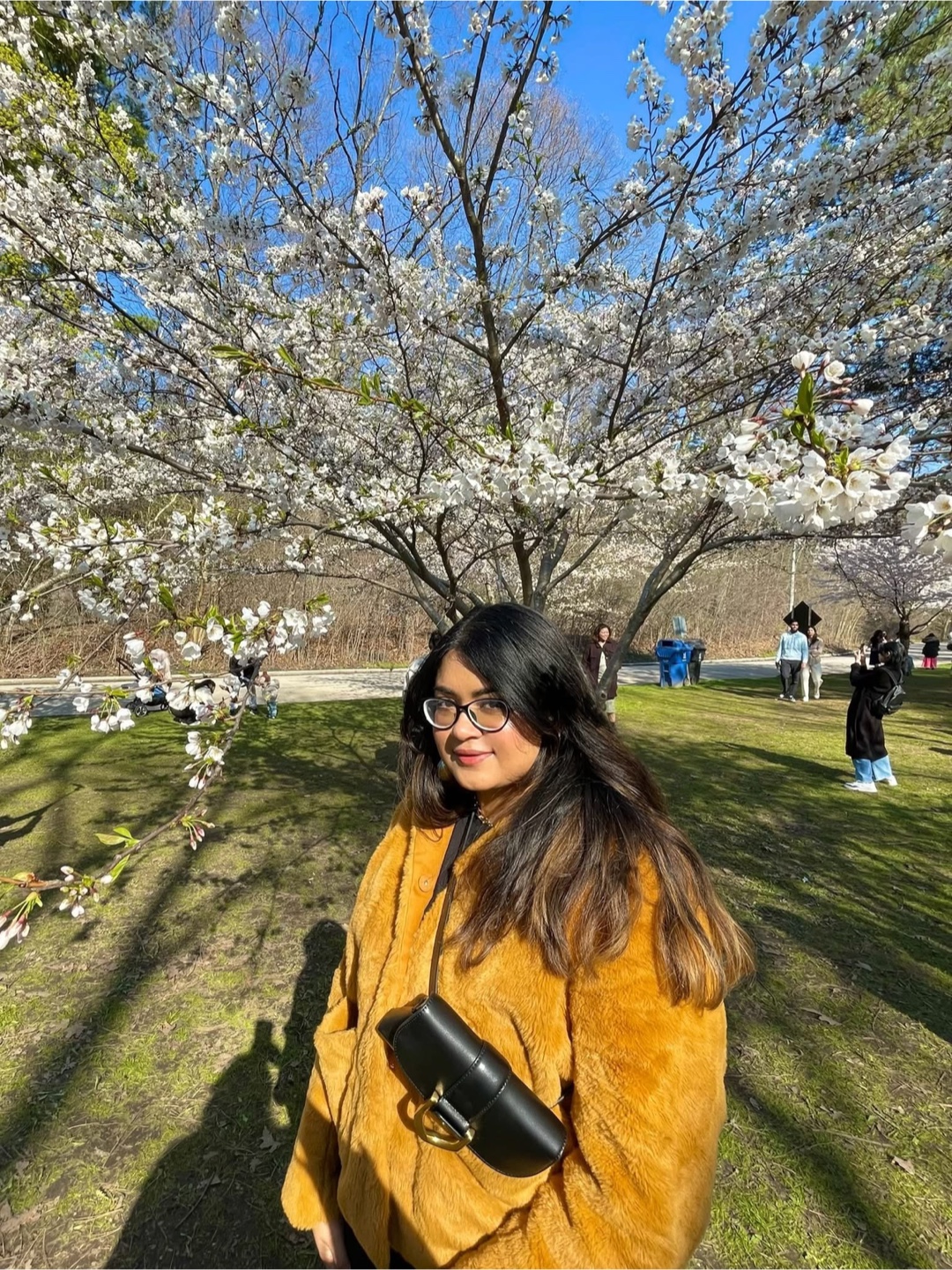 Samiha profile