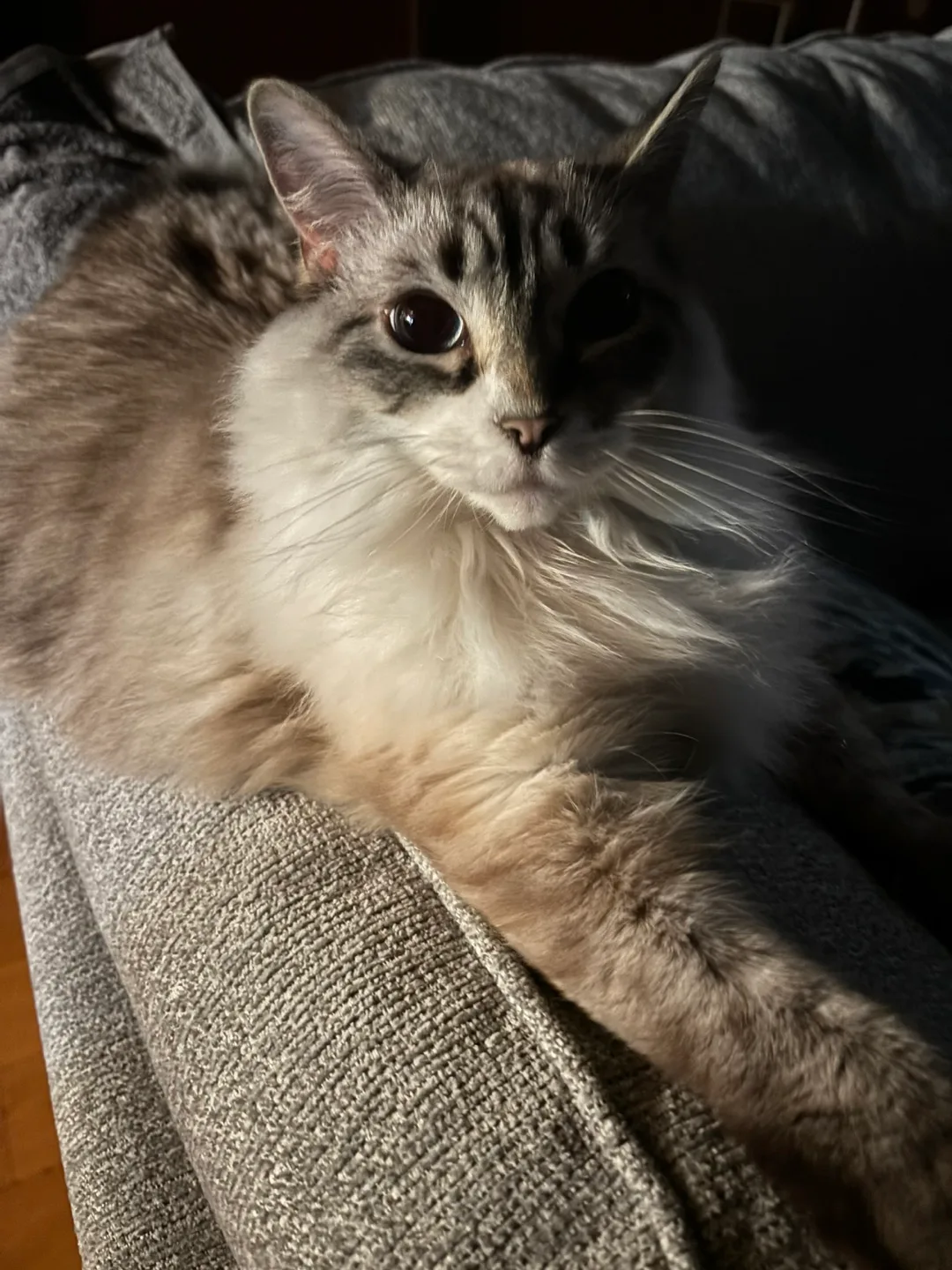 Jeronimo Sanchez profile