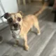 Mody profile