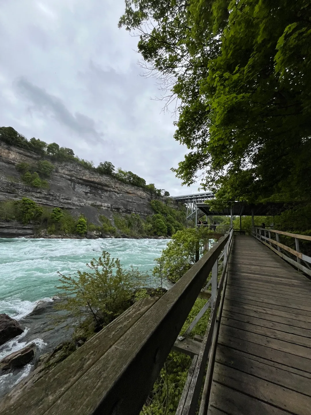 Angelo Valle profile