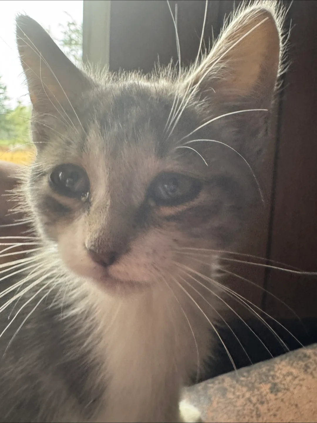 Lucksha Neel profile